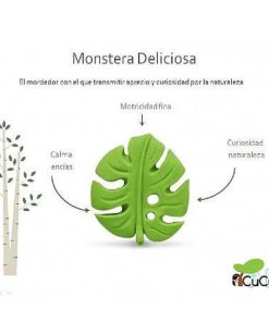 Beb S Lanco | Lanco - Monstera Deliciosa, Mordedor De Caucho