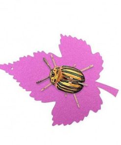 Juguetes Agent Paper | Agent Paper - Insecto Pucetulus