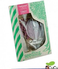 Juguetes Seedling | Seedling - Cerezo M Gico, Juguete Creativo